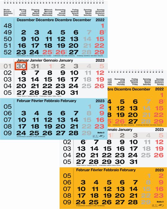 Monthly / multi-monthly calendar