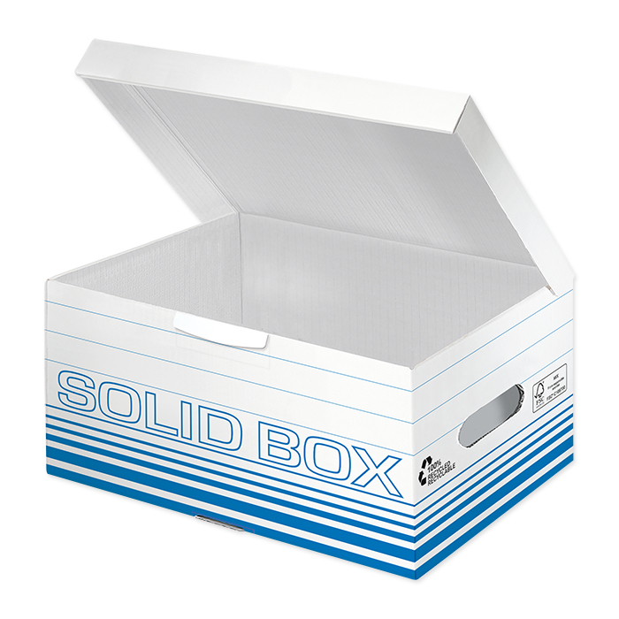 Leitz Solid Box Archiv-Schachtel mit Griff