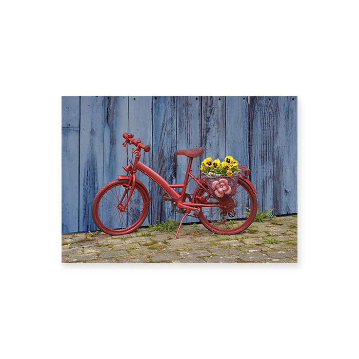 Natur Verlag Blankokarte - Sommer Fahrrad 17,5 x 12,2 cm