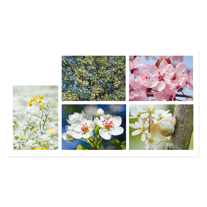Natur Verlag Blankokarten Frühling 12,2 x 17,5 cm