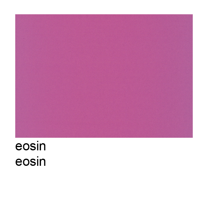 Coloured drawing paper A2 eosin